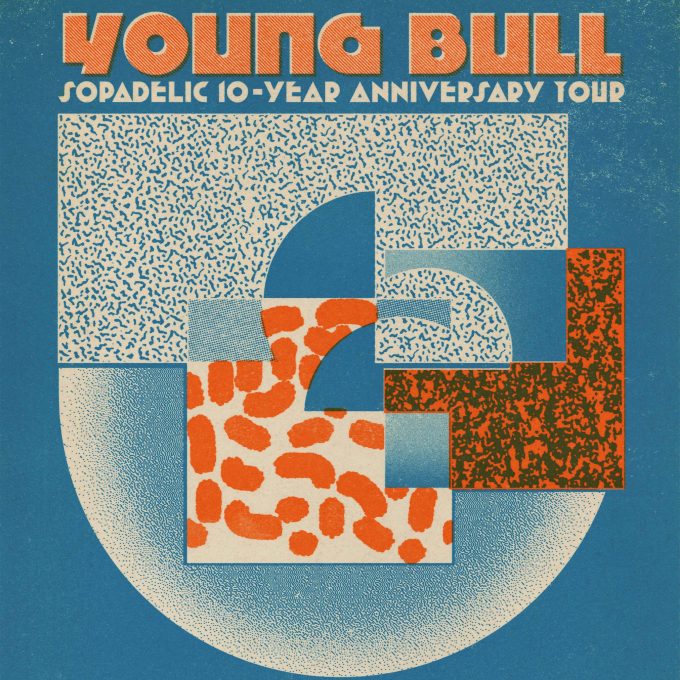 Young Bull